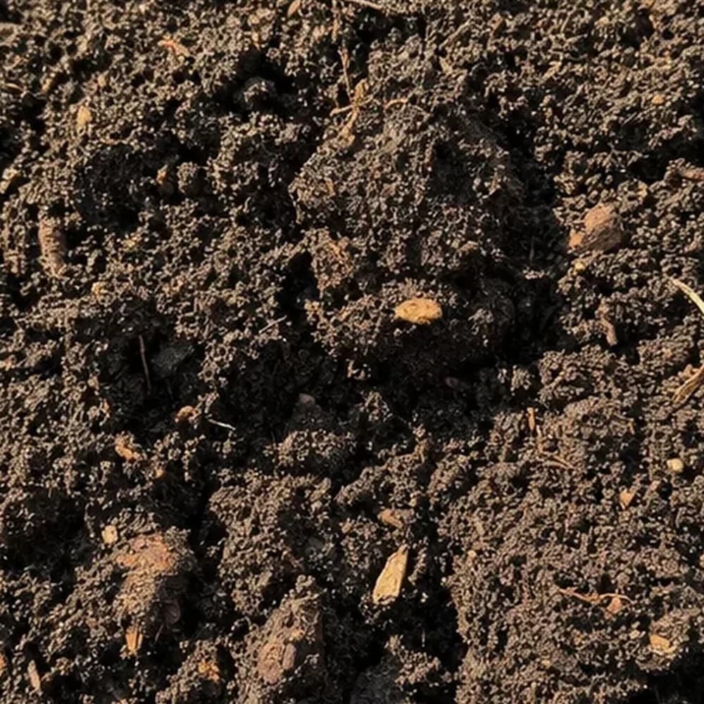 Garden Soil